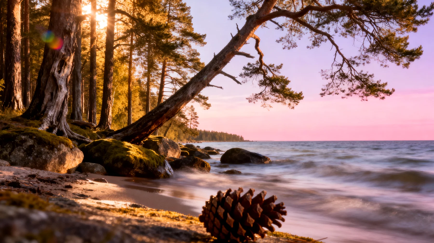 Lahemaa Nationalpark"